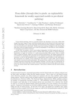 From slides (through tiles) to pixels: an explainability framework for
  weakly supervised models in pre-clinical pathology
