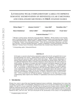 Leveraging weak complementary labels to improve semantic segmentation of
  hepatocellular carcinoma and cholangiocarcinoma in H&E-stained slides