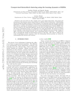 Unsupervised hierarchical clustering using the learning dynamics of RBMs
