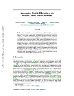 Asymmetric Certified Robustness via Feature-Convex Neural Networks