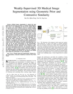 Weakly-Supervised 3D Medical Image Segmentation using Geometric Prior
  and Contrastive Similarity