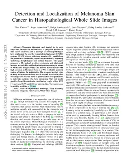 Detection and Localization of Melanoma Skin Cancer in Histopathological
  Whole Slide Images