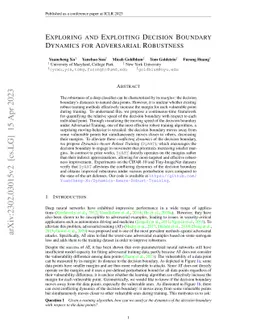Exploring and Exploiting Decision Boundary Dynamics for Adversarial
  Robustness