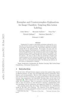 Exemplars and Counterexemplars Explanations for Image Classifiers,
  Targeting Skin Lesion Labeling
