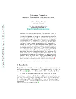 Emergent Causality and the Foundation of Consciousness