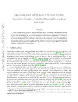 Reproducing kernel Hilbert spaces in the mean field limit