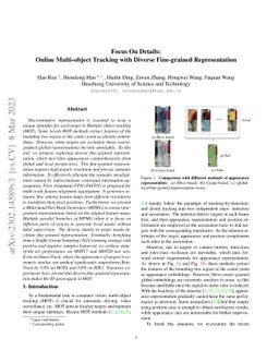 Focus On Details: Online Multi-object Tracking with Diverse Fine-grained
  Representation