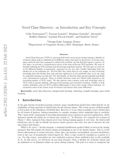 Novel Class Discovery: an Introduction and Key Concepts