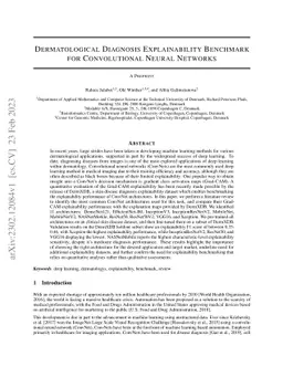 Dermatological Diagnosis Explainability Benchmark for Convolutional
  Neural Networks