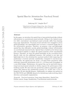 Spatial Bias for Attention-free Non-local Neural Networks