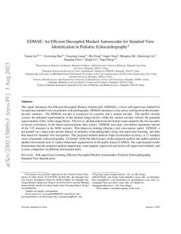 EDMAE: An Efficient Decoupled Masked Autoencoder for Standard View
  Identification in Pediatric Echocardiography