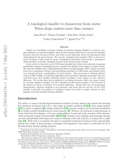 A topological classifier to characterize brain states: When shape
  matters more than variance