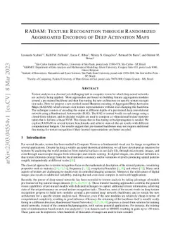 RADAM: Texture Recognition through Randomized Aggregated Encoding of
  Deep Activation Maps