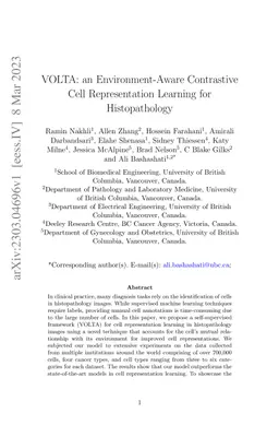 VOLTA: an Environment-Aware Contrastive Cell Representation Learning for
  Histopathology