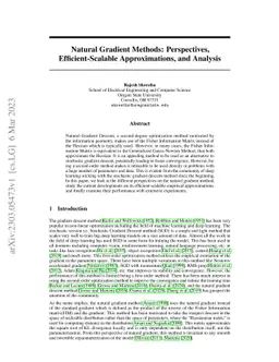Natural Gradient Methods: Perspectives, Efficient-Scalable
  Approximations, and Analysis