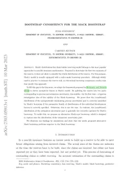 Bootstrap Consistency for the Mack Bootstrap