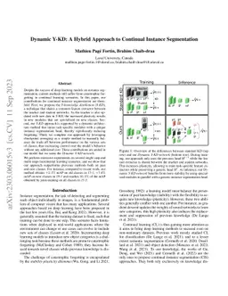 Dynamic Y-KD: A Hybrid Approach to Continual Instance Segmentation