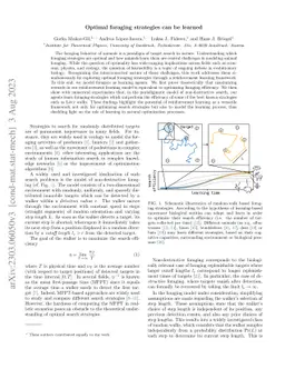 Optimal foraging strategies can be learned