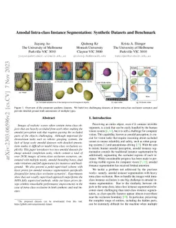 Amodal Intra-class Instance Segmentation: Synthetic Datasets and
  Benchmark