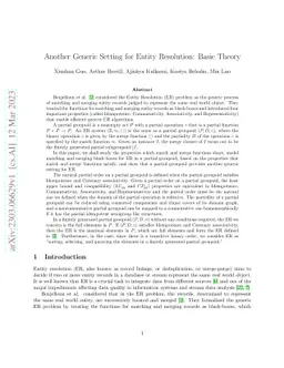 Another Generic Setting for Entity Resolution: Basic Theory