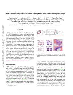 Interventional Bag Multi-Instance Learning On Whole-Slide Pathological
  Images
