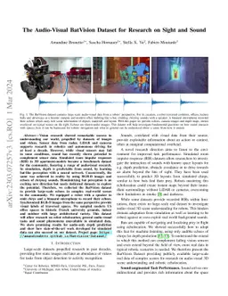 The Audio-Visual BatVision Dataset for Research on Sight and Sound