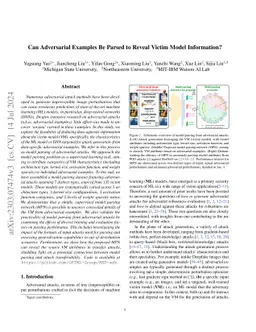 Can Adversarial Examples Be Parsed to Reveal Victim Model Information?
