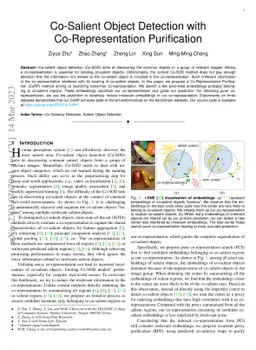Co-Salient Object Detection with Co-Representation Purification