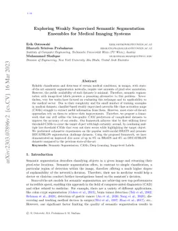 Exploring Weakly Supervised Semantic Segmentation Ensembles for Medical
  Imaging Systems
