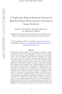A Triplet-loss Dilated Residual Network for High-Resolution
  Representation Learning in Image Retrieval
