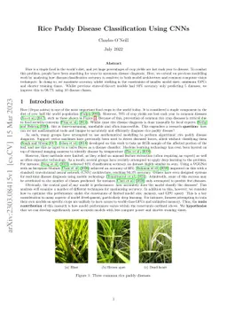 Rice paddy disease classifications using CNNs