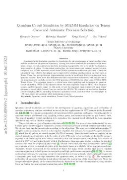 Quantum Circuit Simulation by SGEMM Emulation on Tensor Cores and
  Automatic Precision Selection
