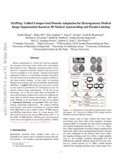 MAPSeg: Unified Unsupervised Domain Adaptation for Heterogeneous Medical
  Image Segmentation Based on 3D Masked Autoencoding and Pseudo-Labeling