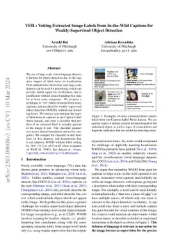VEIL: Vetting Extracted Image Labels from In-the-Wild Captions for
  Weakly-Supervised Object Detection
