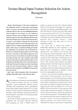 Texture-Based Input Feature Selection for Action Recognition