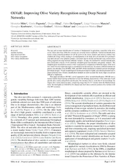 OliVaR: Improving Olive Variety Recognition using Deep Neural Networks