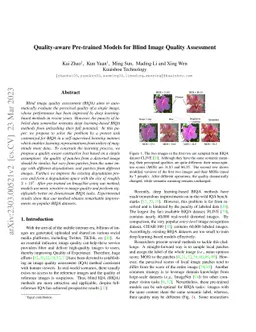 Quality-aware Pre-trained Models for Blind Image Quality Assessment
