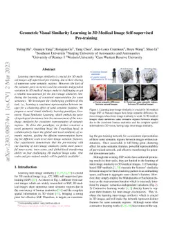 Geometric Visual Similarity Learning in 3D Medical Image Self-supervised
  Pre-training