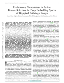 Evolutionary Computation in Action: Feature Selection for Deep Embedding
  Spaces of Gigapixel Pathology Images