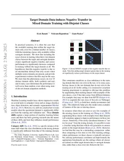 Target Domain Data induces Negative Transfer in Mixed Domain Training
  with Disjoint Classes