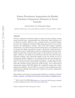 Feature Perturbation Augmentation for Reliable Evaluation of Importance
  Estimators in Neural Networks