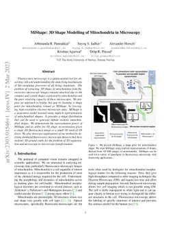 MiShape: 3D Shape Modelling of Mitochondria in Microscopy