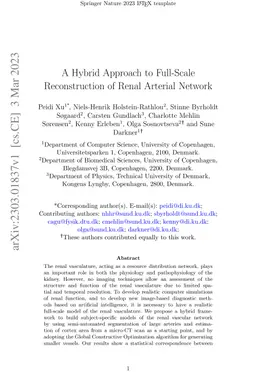 A Hybrid Approach to Full-Scale Reconstruction of Renal Arterial Network
