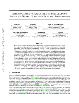 Exploit CAM by itself: Complementary Learning System for Weakly
  Supervised Semantic Segmentation
