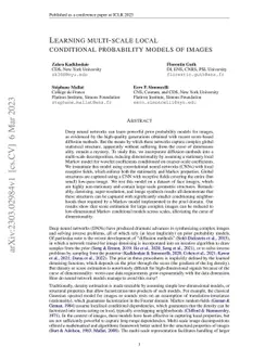 Learning multi-scale local conditional probability models of images