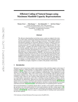 Learning Efficient Coding of Natural Images with Maximum Manifold
  Capacity Representations