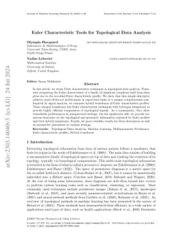 Euler Characteristic Tools For Topological Data Analysis