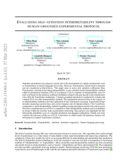 Evaluating self-attention interpretability through human-grounded
  experimental protocol
