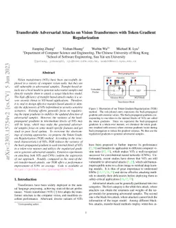 Transferable Adversarial Attacks on Vision Transformers with Token
  Gradient Regularization