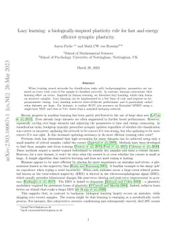 Lazy learning: a biologically-inspired plasticity rule for fast and
  energy efficient synaptic plasticity